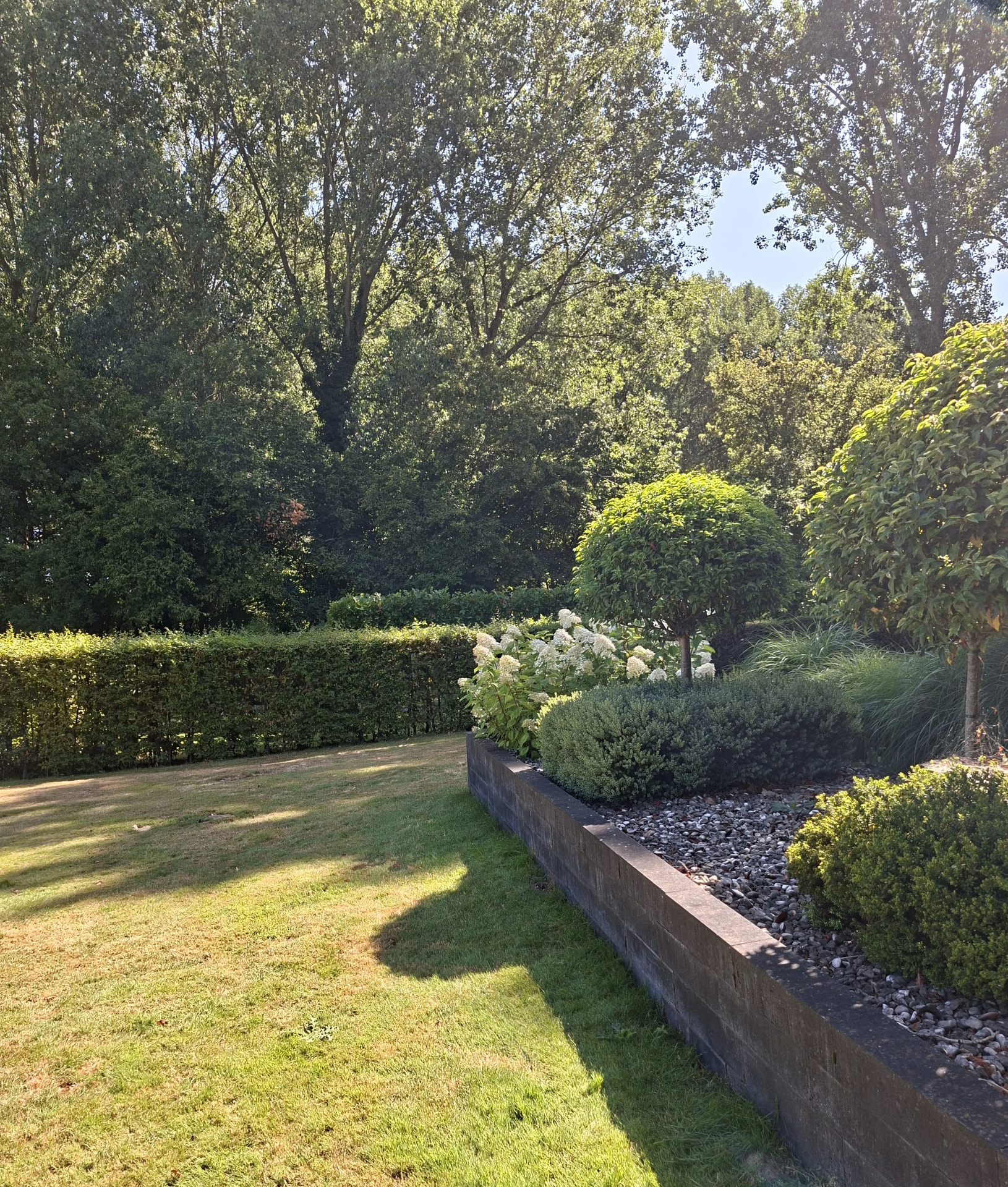 Tuin van de B&B met gazon, hagen en border