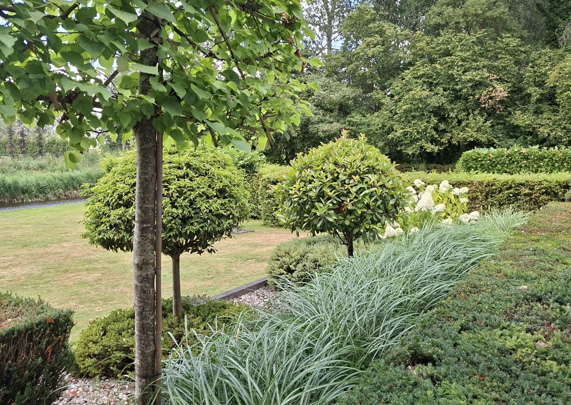 Tuin met bolbomen, siergrassen en zicht op het water